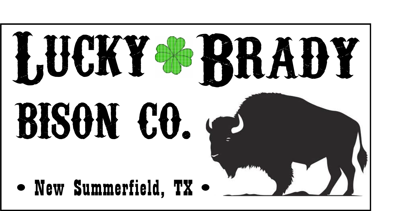 Lucky Brady Bison